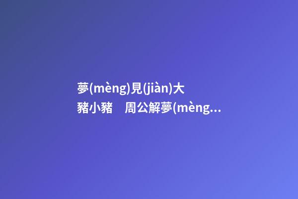 夢(mèng)見(jiàn)大豬小豬　周公解夢(mèng)之夢(mèng)到大豬小豬
